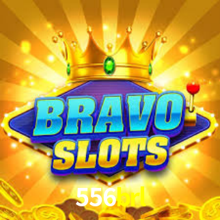 556brl App Interface